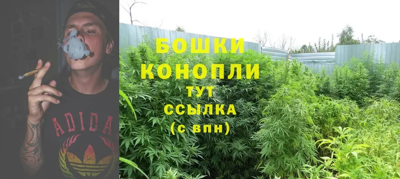 OMG зеркало  Белокуриха  Шишки марихуана LSD WEED 